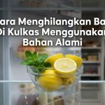 Cara Menghilangkan Bau Di Kulkas Menggunakan Bahan Alami
